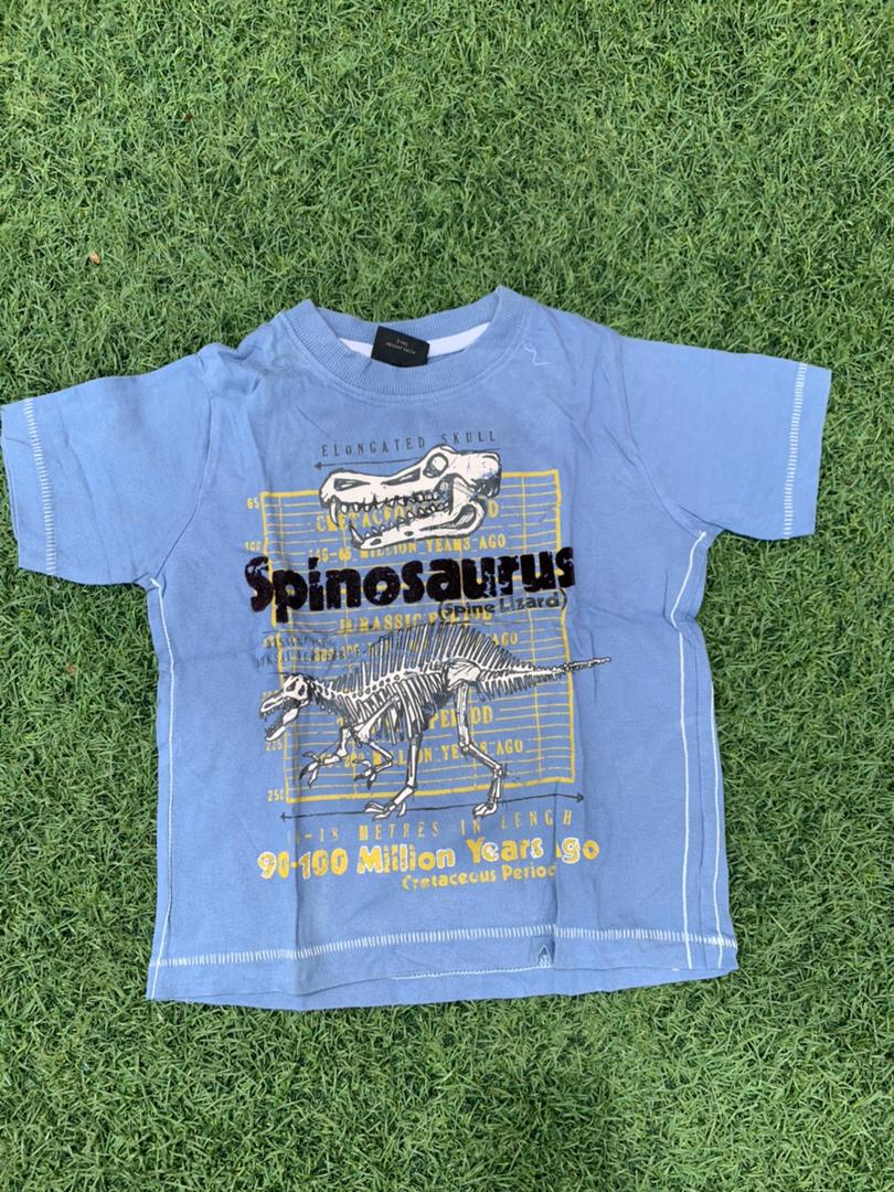 Spinosaurus graphic tee boy size 3years